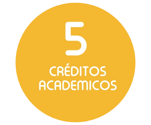 5 créditos