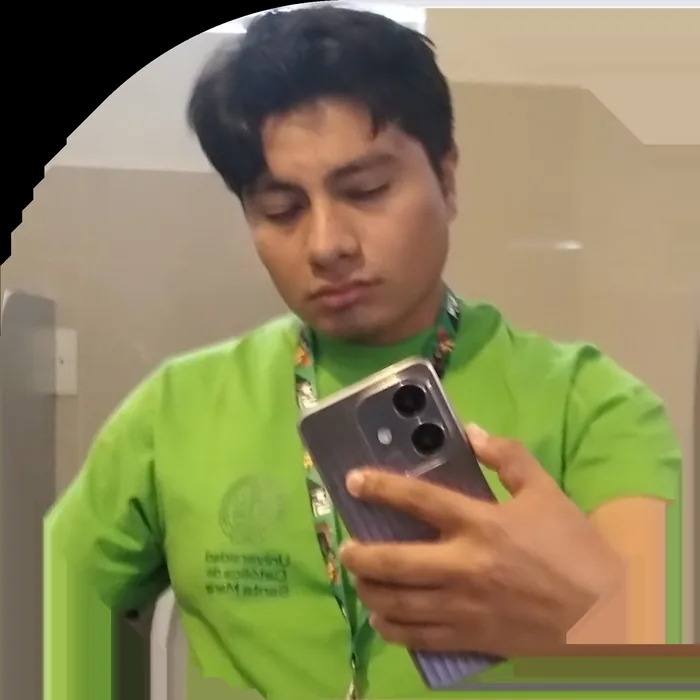 Aldo Gonzalo Llerena Panebra
