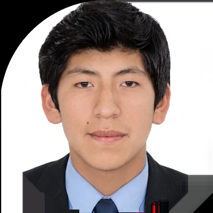 Bladimir Alberth Arratia Quispe