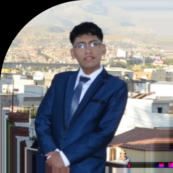 Williams Gabriel Cardenas Mamani